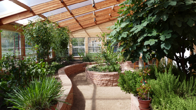 The Reinvention of the Traditional Greenhouse with Energy Efficient Solutions